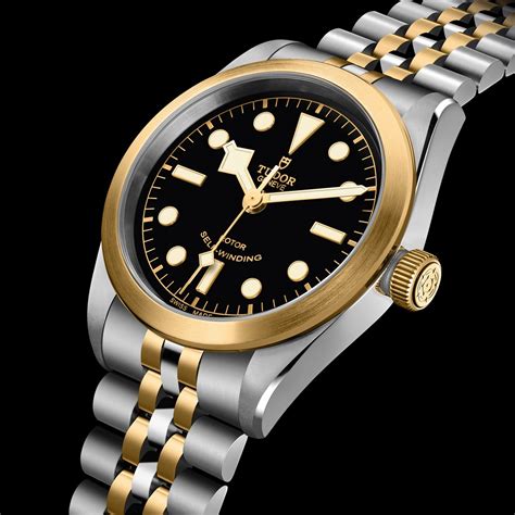 tudor s&g black bay